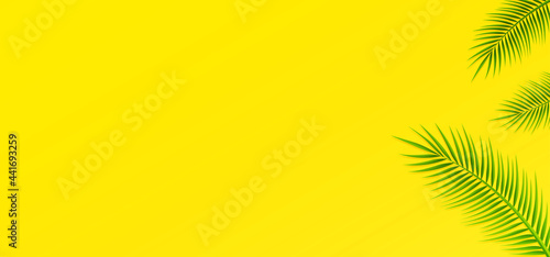 HD tropical background with clean yellow color and palm green leaves. Vector illustration of summer background and can editable