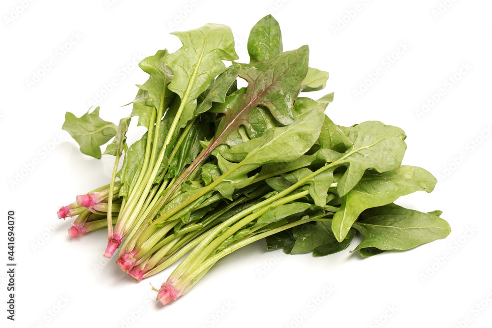 Spinach on white background Spinach on white background