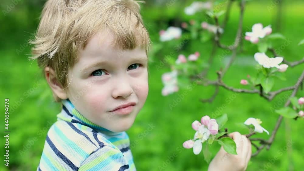 Little blonde caucasian beautiful boy smelling spring tree flowers in green garden outside. Enjoying wild nature, smiling, looking at camera closeup. Health care concept. Fresh air. Ecology protection Little blonde caucasian beautiful boy smelling spring tree flowers in green garden outside. Enjoying wild nature, smiling, looking at camera closeup. Health care concept. Fresh air. Ecology protection