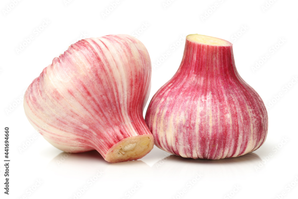Fototapeta premium garlic isolated