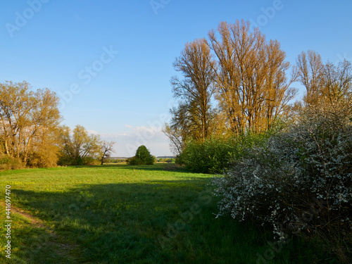 Sonnenuntergang im Vogelschutzgebiet NSG Garstadt bei Heidenfeld im Landkreis Schweinfurt, Unterfranken, Bayern, Deutschland © dina