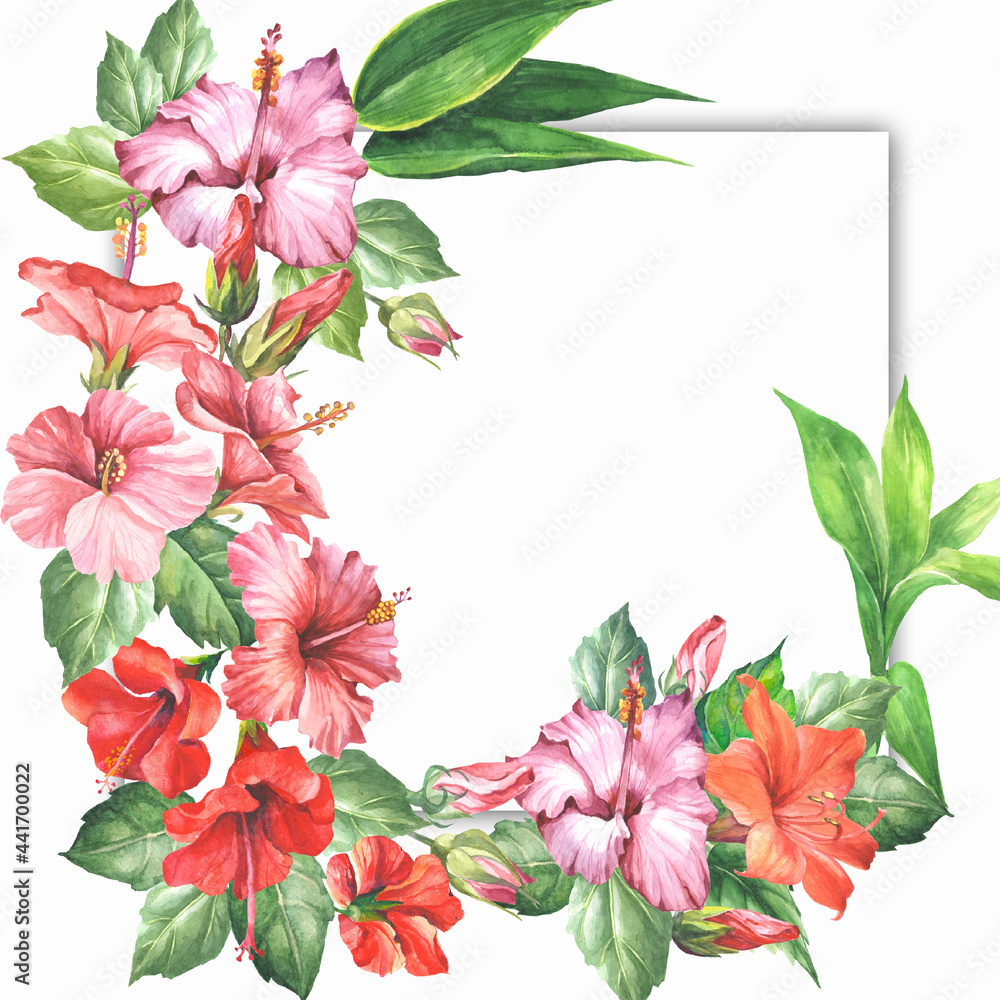 frame with tropical flowers frame with tropical flowers