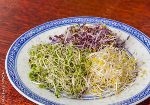 Three colors alfalfa on a chinese plate