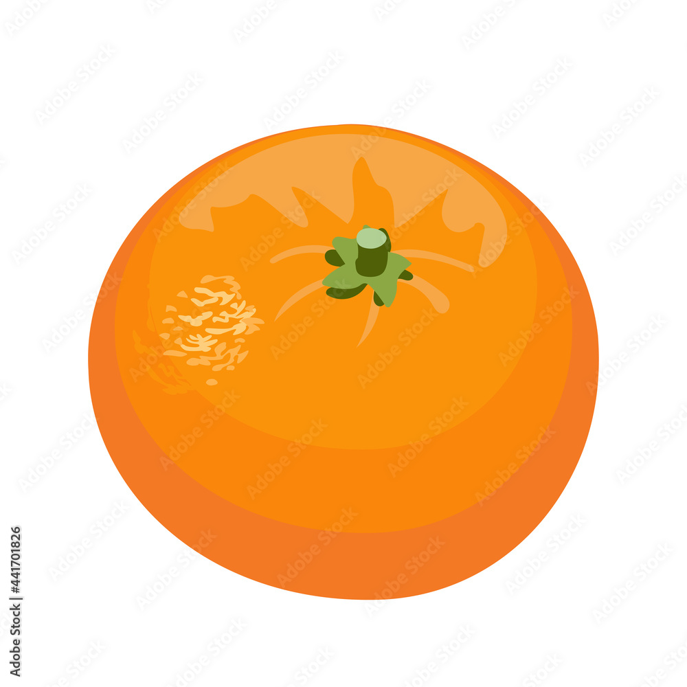 Cartoon vector illustration isolated object fresh food fruit citrus orange Cartoon vector illustration isolated object fresh food fruit citrus orange