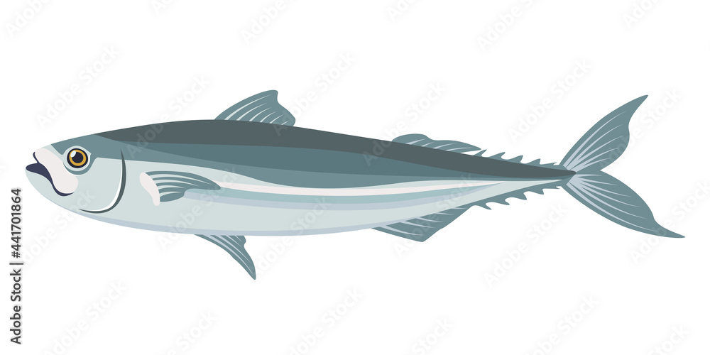 Cartoon vector illustration isolated object fresh food fish Cartoon vector illustration isolated object fresh food fish