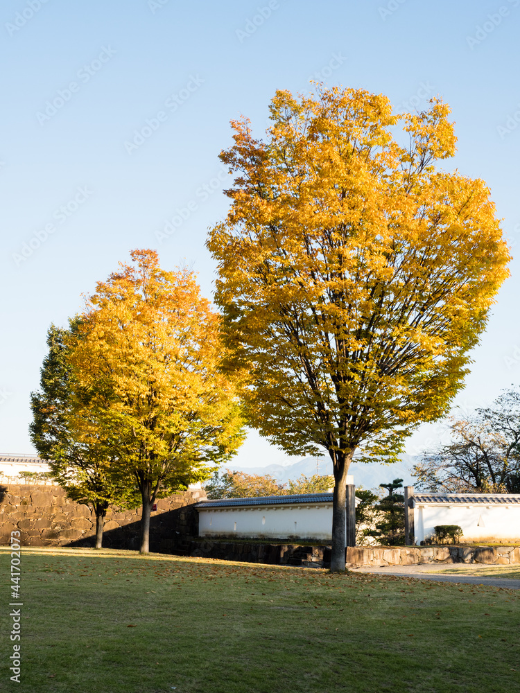 Naklejka premium Early autumn on the grounds of Maizuru Castle Park (Kofu castle) - Kofu city, Yamanashi prefecture, Japan