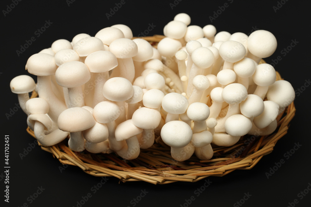 shimeji mushrooms white varieties shimeji mushrooms white varieties