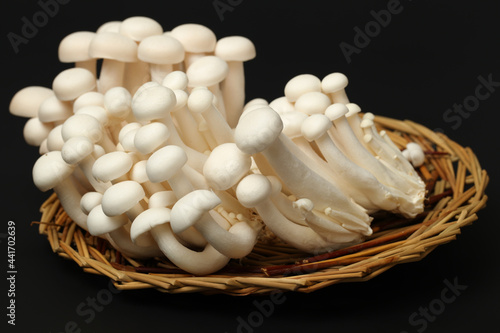shimeji mushrooms white varieties 