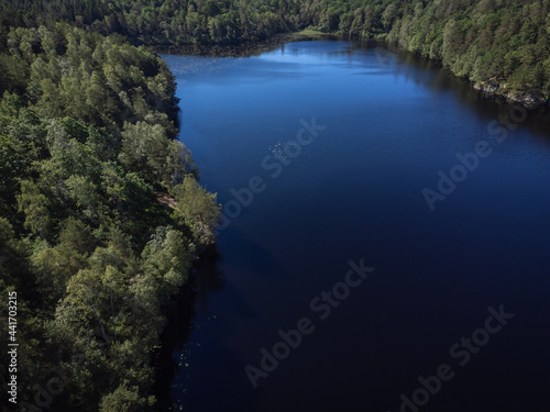 Bird's eye view of a pond, lake with green trees. Aerial, drone nature photography taken from above in Sweden in summer.  Dark blue water surface background with copy space and place for text. © Anna