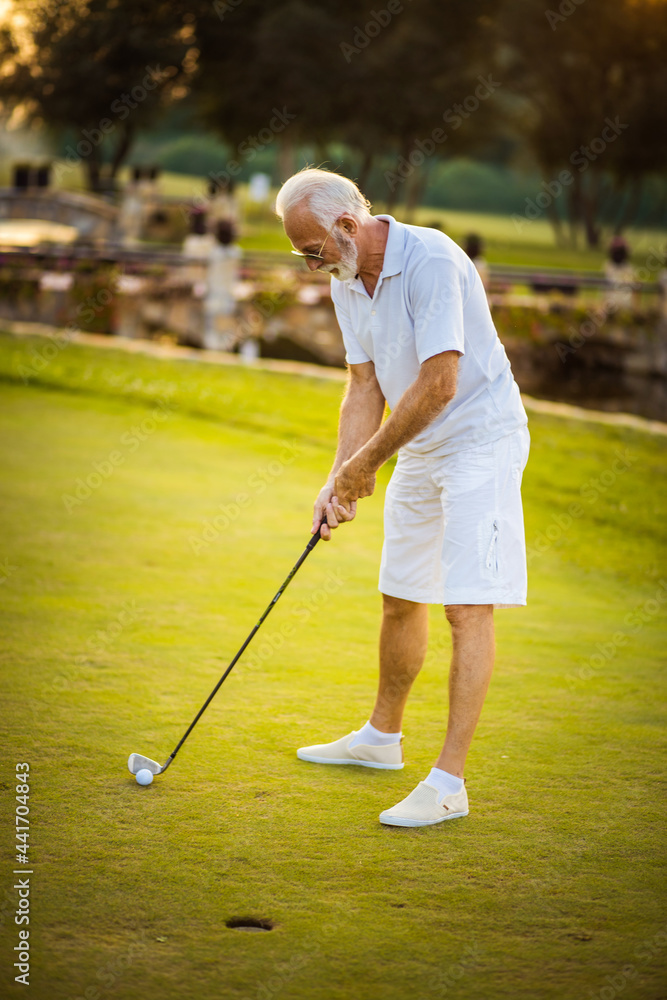 Senior golfer prepares to shot. Senior golfer prepares to shot.