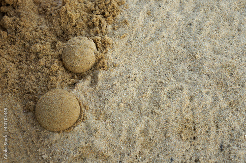 make semicircle sand on floor sand  