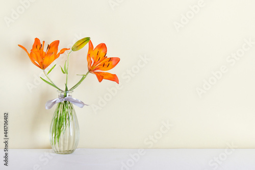 Summer composition with on glass vase and orange lily flower with blank wall.
