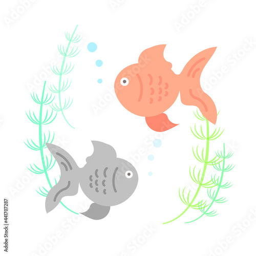 赤と黒の金魚のイラスト