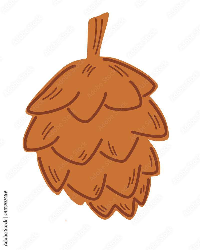 Open fir cone. Conical fruit of conifer tree. Nature theme. Brown fir cone. Element for Christmas postcard, poster, and decor. Vector illustration isolated on a white background. Open fir cone. Conical fruit of conifer tree. Nature theme. Brown fir cone. Element for Christmas postcard, poster, and decor. Vector illustration isolated on a white background.
