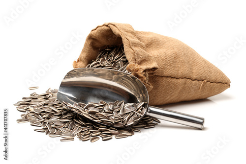 Obraz na plátně Sunflower seeds isolated on white background