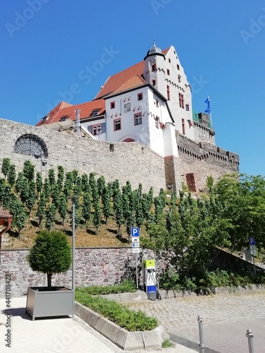 Burg Alzenau, Bayern, Deutschland photo