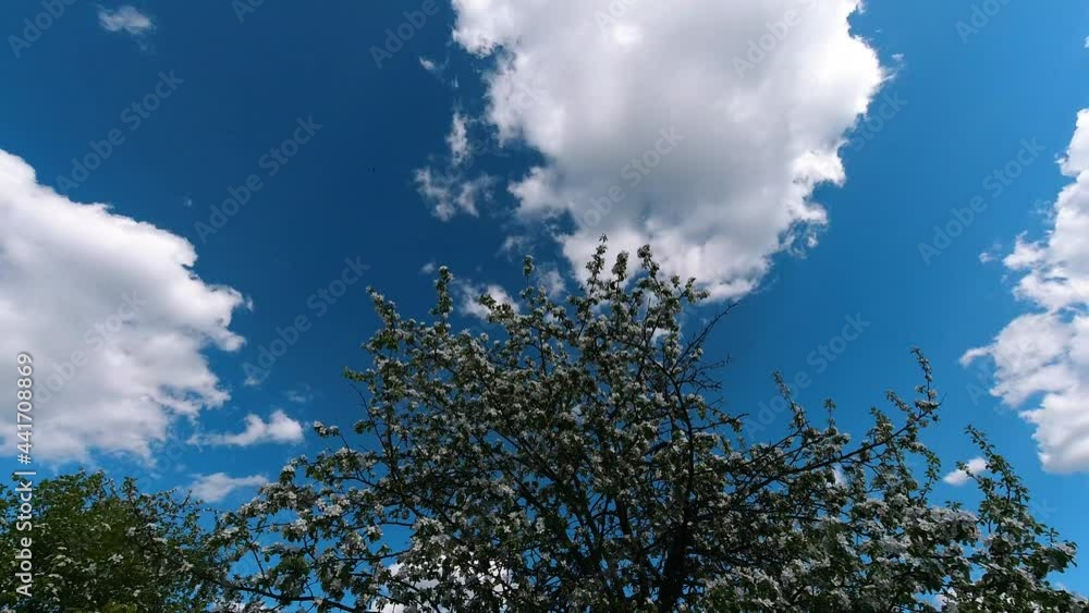 Great nature time-lapse of heaven Great nature time-lapse of heaven