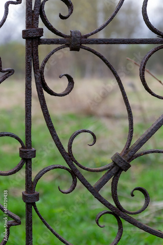 metal forged ornate door