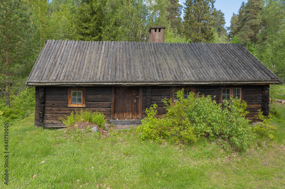 Old wooden hut in the forest on summer day Old wooden hut in the forest on summer day