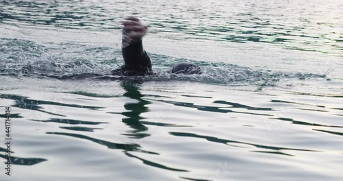 Wallpaper Mural Triathlete Swim Workout Preparing To Triathlon Competition.Professional Swimmer Training For Triathlon Competition In Open Water Torontodigital.ca