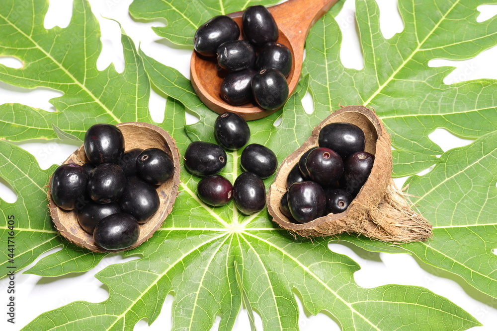 Jambolan plum or Java plum isolated on Green background Jambolan plum or Java plum isolated on Green background