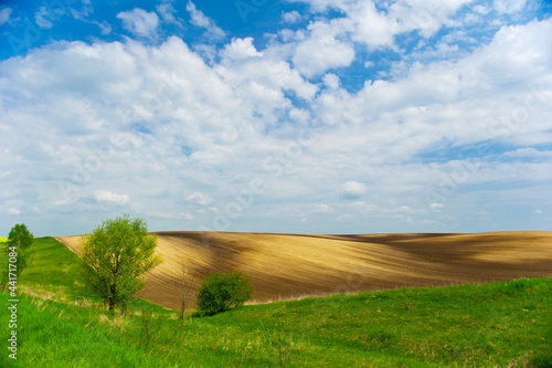 A landscape of the hilly plowed field. High quality photo