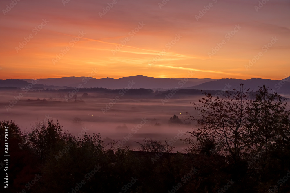 Just before sunrise, a view of meadows shrouded in mist