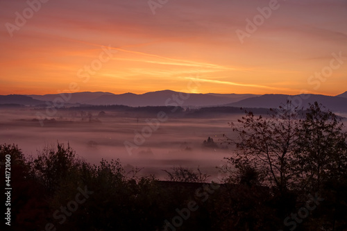 Just before sunrise  a view of meadows shrouded in mist