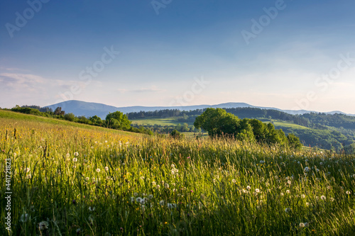 A luscious green meadow under a blue sky