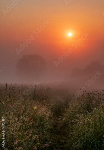 Misty meadow during sunrise © Joanna Posiak