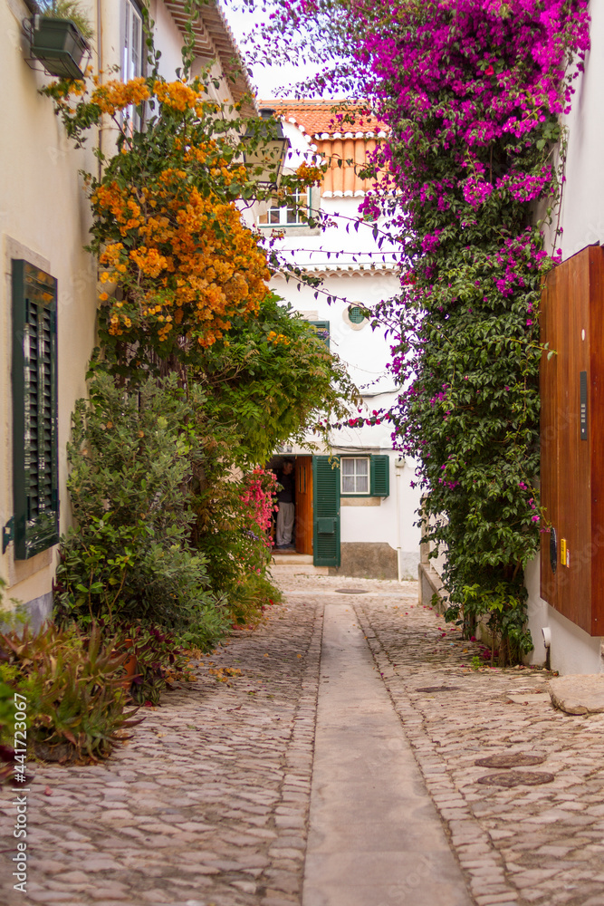 Fototapeta premium Calle con Muchas Plantas y Flores del pueblo de Cascais, pais de Portugal