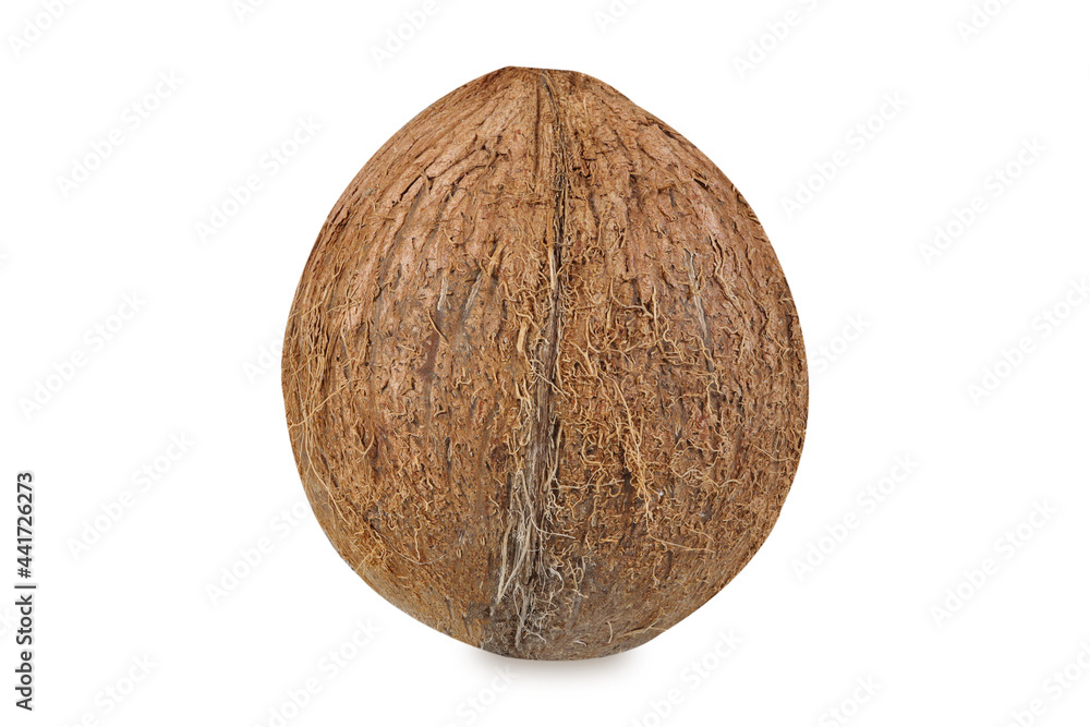 Coconut isolated on white Background. Clipping Path Coconut isolated on white Background. Clipping Path