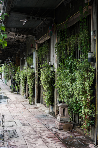 garden front house