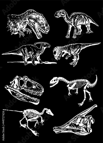 Graphical paleontological collection, hand-drawn dinosaurs isolated on  black background	