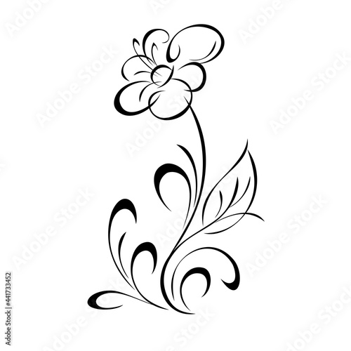 ornament 1831. decorative flower with large petals on a curved stem with one leaf and curls in black lines on a white background