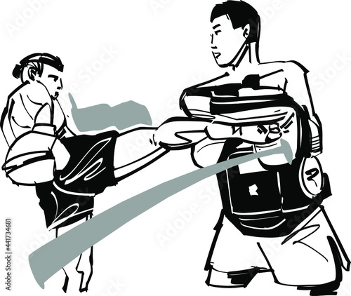 the vector illustration of the muay thai fighter