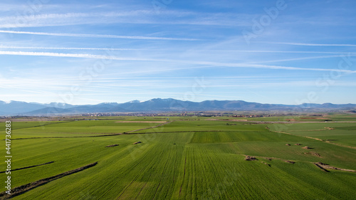 Meadow with a city and mountain in the horizon. © Alfredo