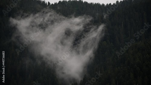 il movimento fluido delle nuvole durante un temporale che si spostano al di sopra di un bosco di montagna delle dolomiti photo