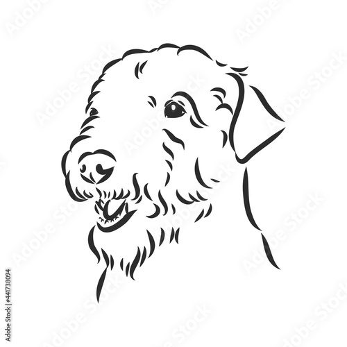 Airedale Terrier Dog. hand drawn. Vector illustration