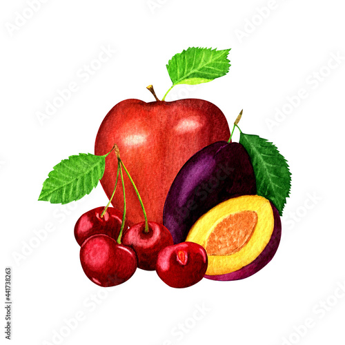 Watercolor illustration of red apple,cherries and plums, isolated on white background.Composition of garden fruits and berries.Organic and healthy food