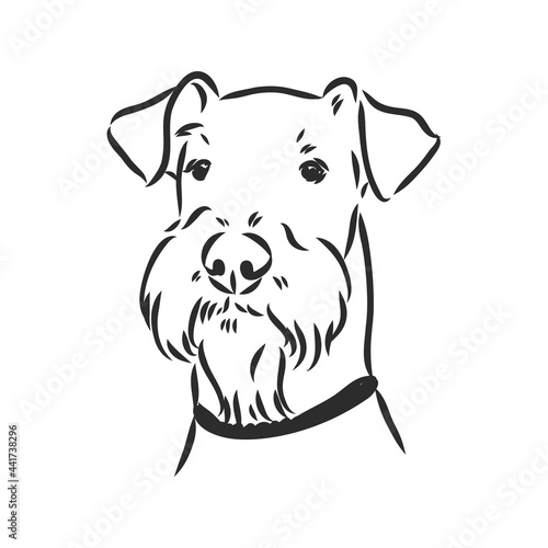 Airedale Terrier Dog. hand drawn. Vector illustration