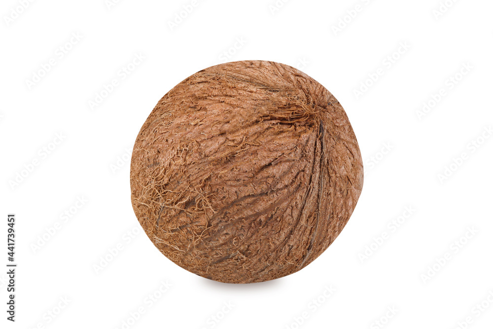 Coconut isolated on white Background Coconut isolated on white Background
