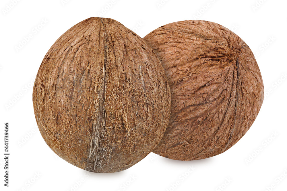 coconuts isolated on white background coconuts isolated on white background