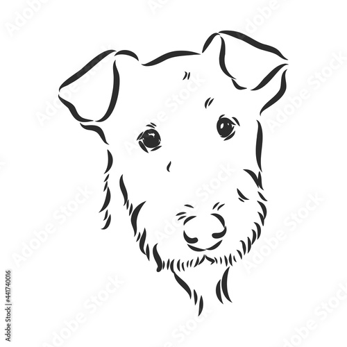Airedale Terrier Dog. hand drawn. Vector illustration