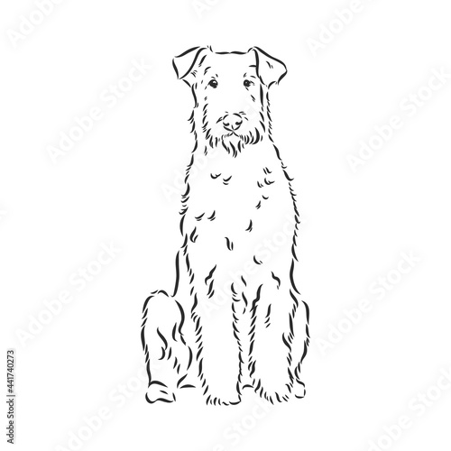 Airedale Terrier Dog. hand drawn. Vector illustration