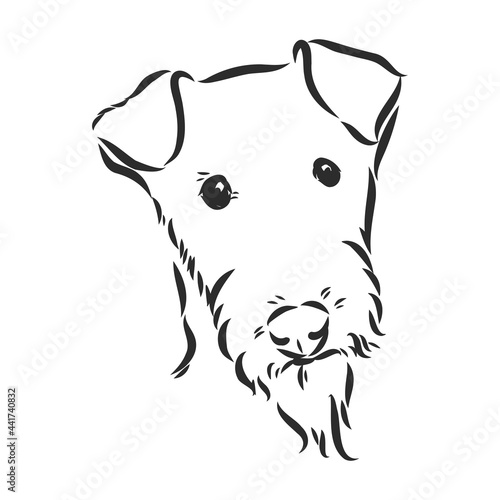 Airedale Terrier Dog. hand drawn. Vector illustration