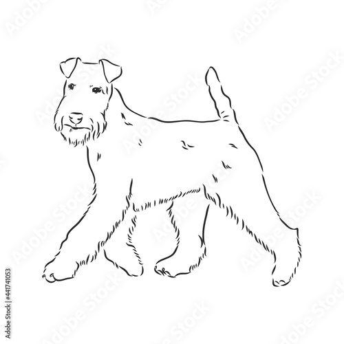 Airedale Terrier Dog. hand drawn. Vector illustration