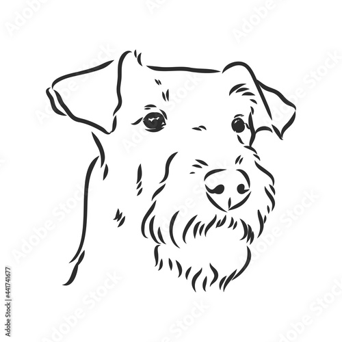 Airedale Terrier Dog. hand drawn. Vector illustration