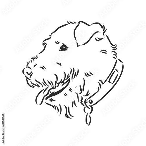 Airedale Terrier Dog. hand drawn. Vector illustration