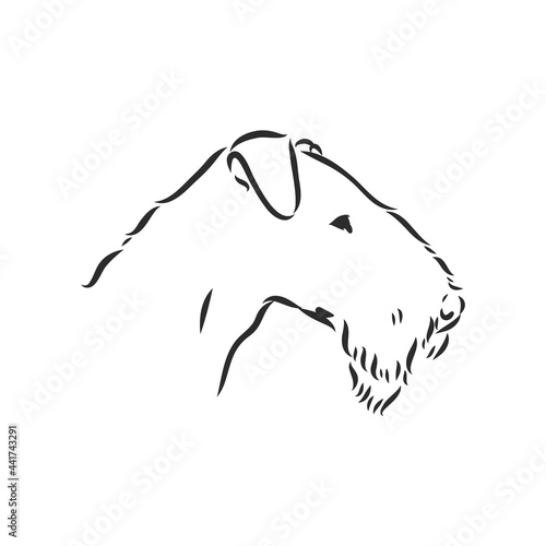 Airedale Terrier Dog. hand drawn. Vector illustration